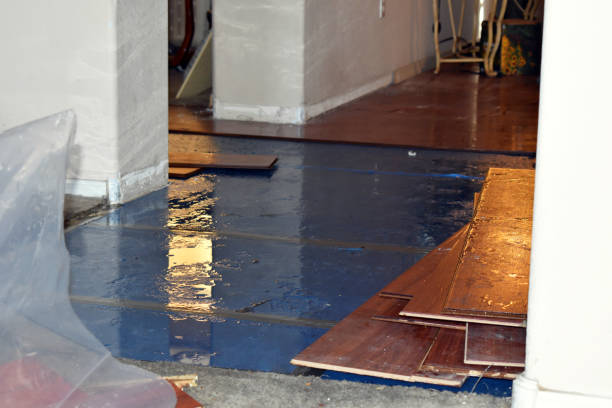 Professional Water Damage technician working in Rice, TX