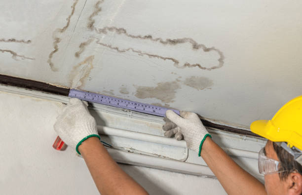 Reliable Water Damage contractor in Rice, TX by Water Damage Irwin